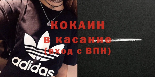 твердый Алексеевка
