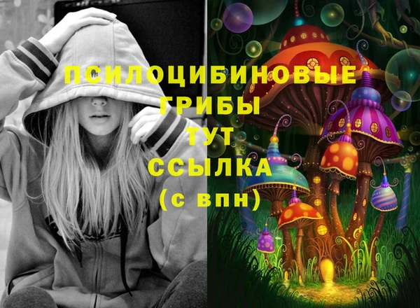 соль курить ск Абаза