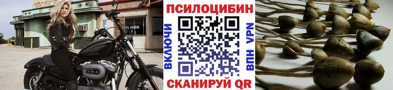 купить   Власиха  Псилоцибиновые грибы MAGIC MUSHROOMS 